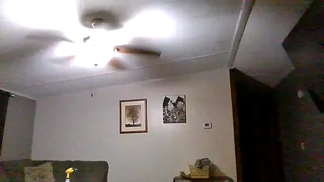 Beaededpainter online show from July 17, 2:19 am