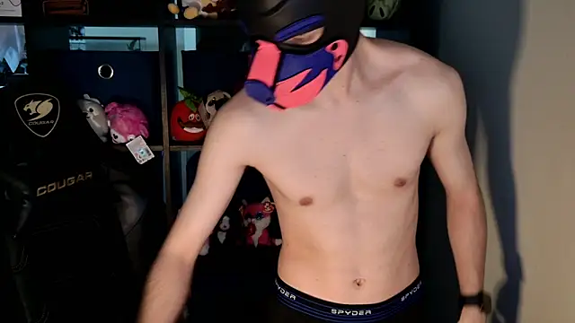 MellPUP online show from June 23, 12:42 pm