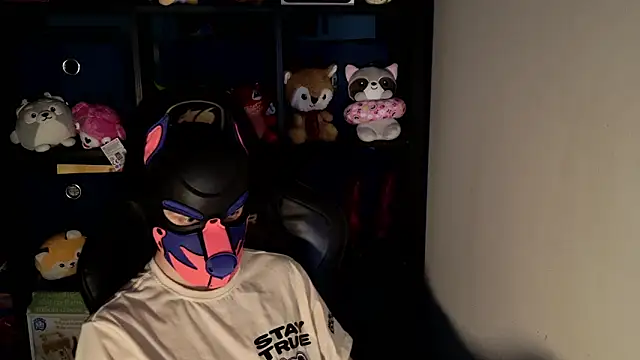 MellPUP online show from June 18, 11:26 am