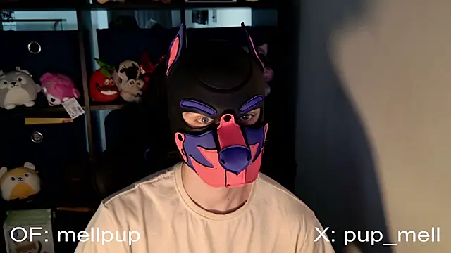 MellPUP online show from June 25, 1:05 pm