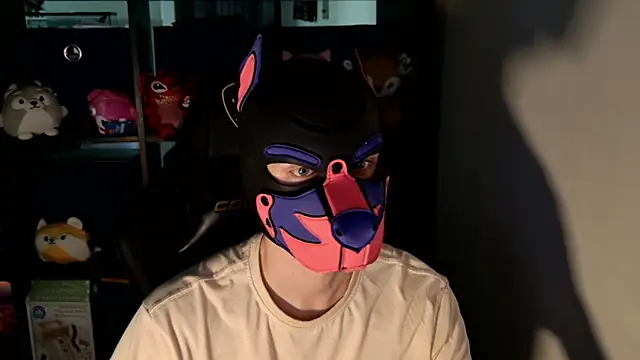 MellPUP online show from June 16, 11:56 am