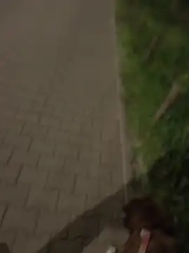 PublicMarekFlashDick online show from May 2, 9:17 pm