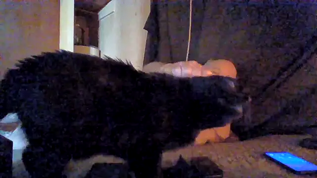 Nightshade1195 online show from July 3, 6:34 pm
