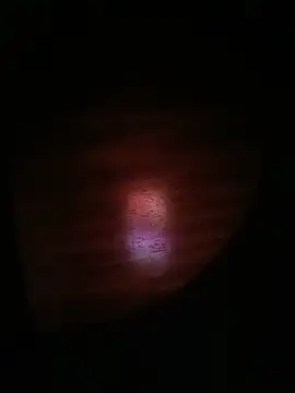 juicecumblast online show from May 21, 3:24 am
