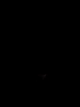 Meo   you online show from April 27, 4:14 pm