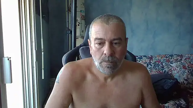 panda 06200 online show from July 23, 8:55 am