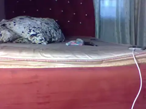 biggest black cock online show from June 25, 2:22 pm