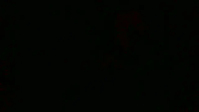 LilDaddyX online show from July 23, 9:06 am