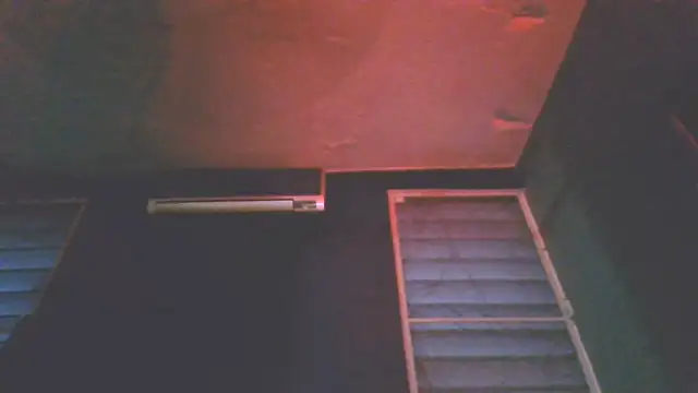 Dante Steel online show from July 5, 9:49 am