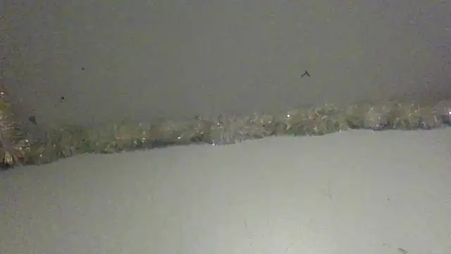 tslay online show from July 17, 3:46 am
