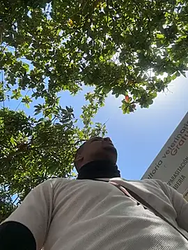 black ryder 23cm online show from June 25, 3:39 pm