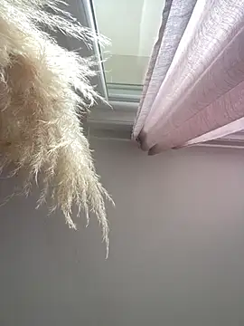 Newxsolo online show from August 4, 9:37 am