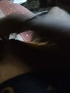 UltraXerotica online show from July 7, 1:38 am