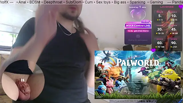 Panda-WolfX online show from July 20, 3:03 pm