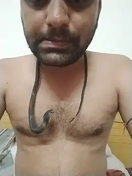 Raja 11 online show from July 11, 2:52 pm