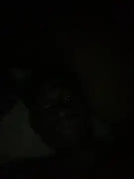 bigdick22156 online show from August 5, 2:27 am