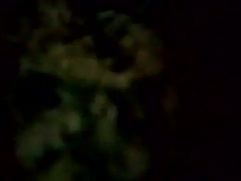 Codymc89 online show from May 13, 6:38 pm