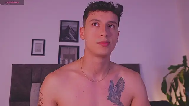 I Gabriel online show from May 1, 3:21 am