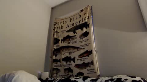 18str8igcock online show from November 1, 10:58 pm