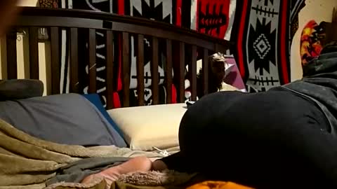 1knightluver69 online show from April 5, 8:44 am