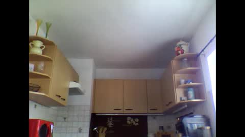 20x5cmgermanlongdong online show from March 21, 8:41 am