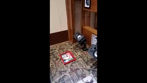 24cockrings online show from March 29, 6:52 pm