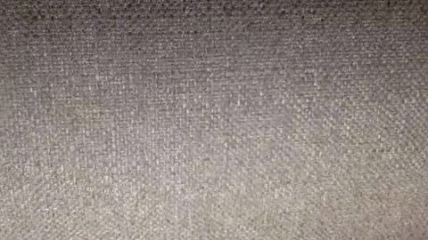 30nick online show from February 12, 7:25 am