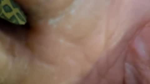 HUGH G RECTION online show from December 7, 9:00 pm