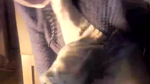 Snapshot of 69hardboy chatting on January 10, 11:39 pm 69hardboy online show from January 10, 11:39 pm