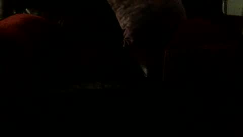 8inchjo online show from February 9, 6:40 am