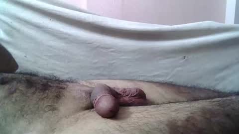 Massive hungry cock online show from June 17, 6:53 pm