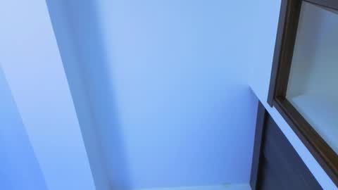 David online show from November 19, 2:22 am