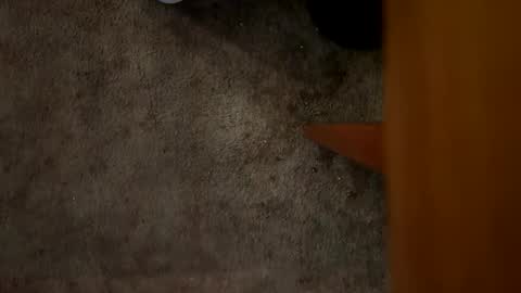 Drizzy online show from October 26, 4:42 pm