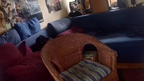 Snapshot of _svenerd87___ chatting on October 14, 11:17 am Sven online show from October 14, 11:17 am