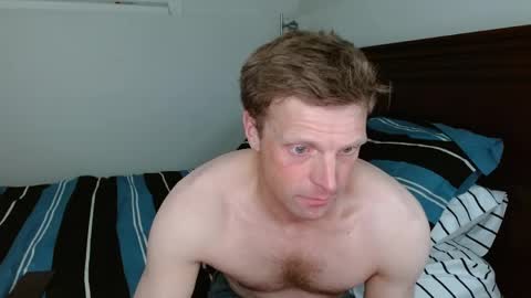 a_spyder online show from May 17, 1:47 am