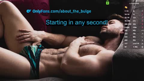 Snapshot of about_the_bulge chatting on February 24, 8:47 pm about_the_bulge online show from February 24, 8:47 pm