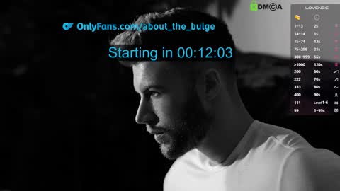 Snapshot of about_the_bulge chatting on February 27, 8:31 pm about_the_bulge online show from February 27, 8:31 pm