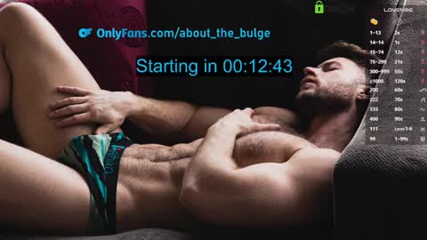Snapshot of about_the_bulge chatting on December 30, 8:36 pm about_the_bulge online show from December 30, 8:36 pm