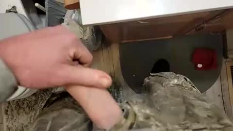 Ace online show from December 21, 2:15 pm