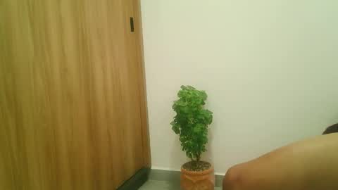 adaam_19 online show from October 11, 2:15 am