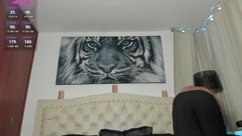 Snapshot of adams_ricci chatting on December 5, 12:33 pm Adams online show from December 5, 12:33 pm