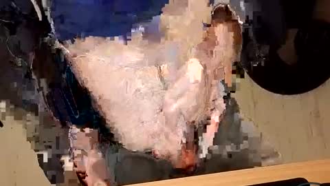 Dbear online show from February 14, 2:39 am