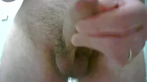 adi2019 online show from November 24, 4:52 pm