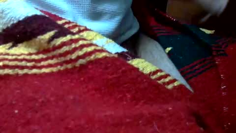 Adrian online show from June 8, 2:45 am