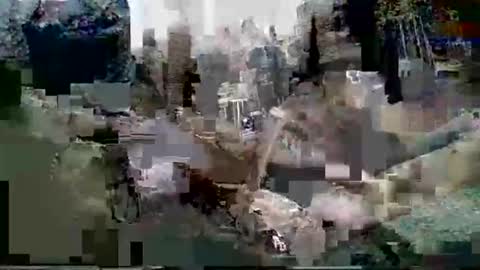 africandawa online show from November 27, 11:58 am