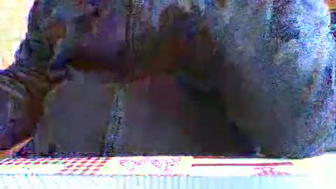 Snapshot of albert29 chatting on October 7, 7:56 am albert29 online show from October 7, 7:56 am
