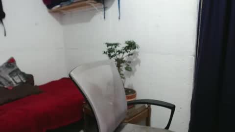 Alex online show from December 16, 10:45 pm