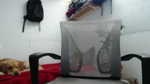 Alex online show from December 18, 4:06 pm