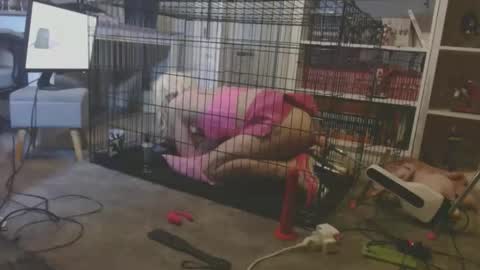 alexas_owned_bitch online show from May 23, 10:48 pm