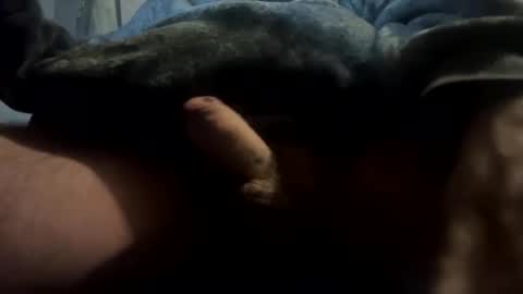 Snapshot of alf1307545 chatting on January 1, 8:58 pm alf1307545 online show from January 1, 8:58 pm